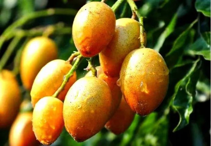 1649857235702031.png 图片