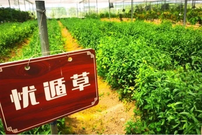 1649857312634079.png 图片