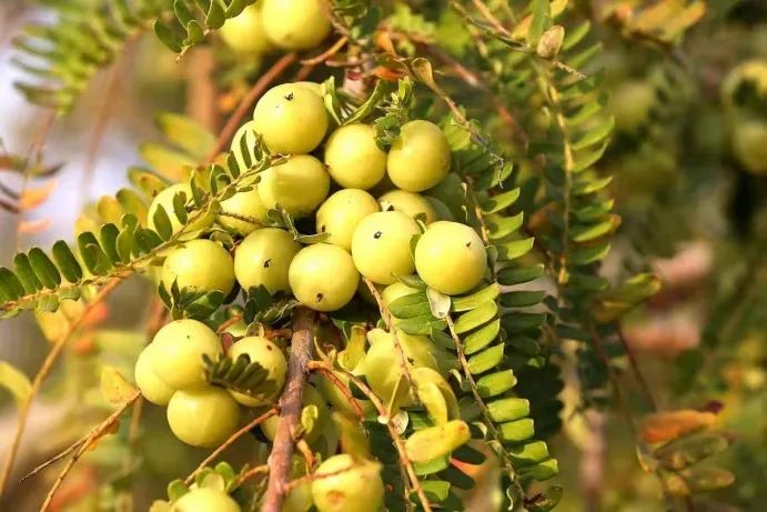 1649857498442790.png 图片